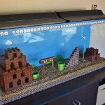 Un acquario dedicato a Super Mario